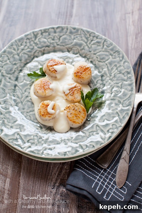Pan-Seared Scallops with a Gruyère Cheese Sauce from The Little Kitchen thelittlekitchen.net Pan-Seared Scallops with a Gruyère Cheese Sauce from The Little Kitchen thelittlekitchen.net