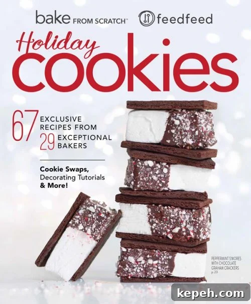 Holiday Cookies Magazine Issue