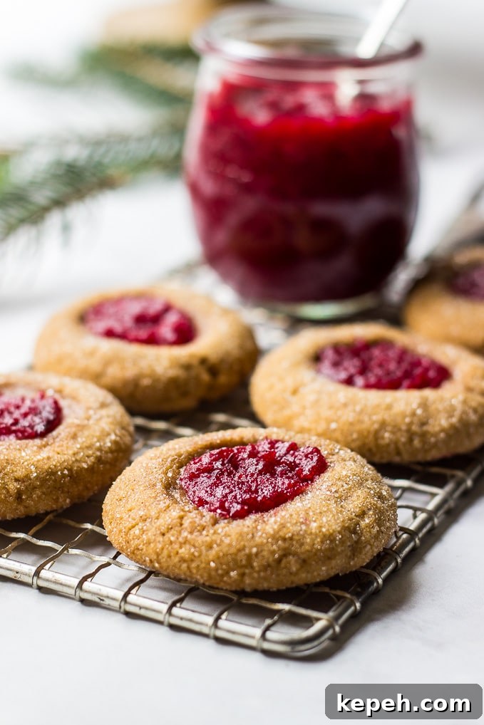 Holiday Cookies Magazine Issue