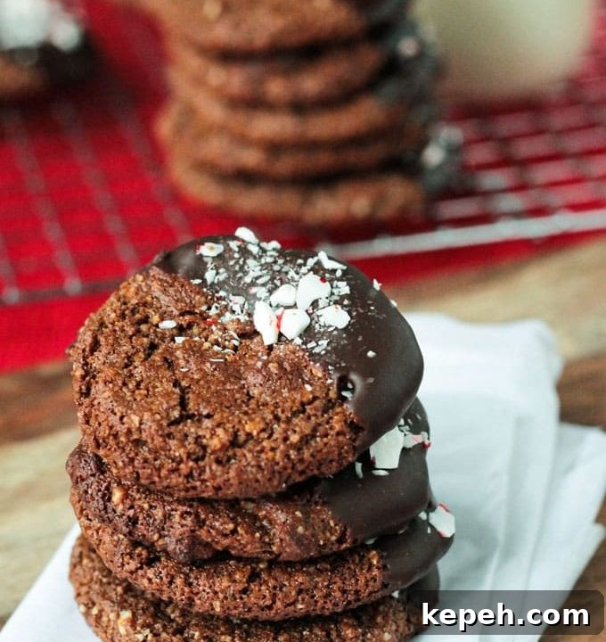 Vegan Christmas Cookies: Moist Holiday Cookie Recipes for Gifting 3 Chewy Gingerbread Cookies