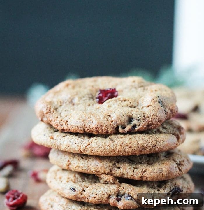 Vegan Christmas Cookies: Moist Holiday Cookie Recipes for Gifting 4 Cranberry Pistachio Cookies