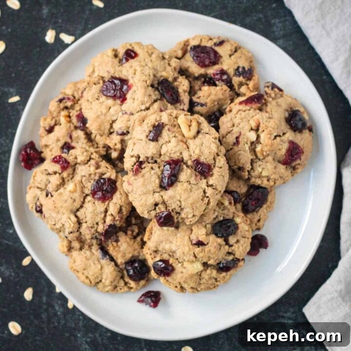 Vegan Christmas Cookies: Moist Holiday Cookie Recipes for Gifting 8 Oatmeal cranberry walnut cookies
