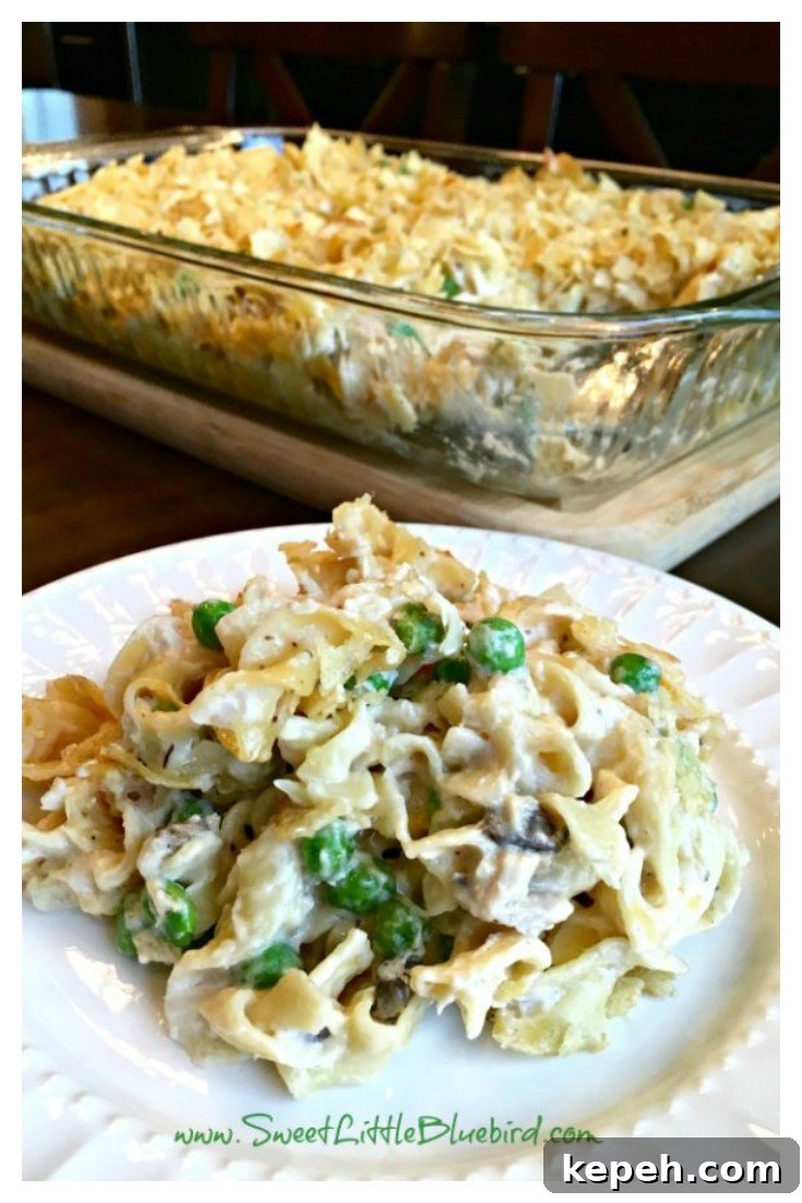 Best Tuna Casserole Recipe