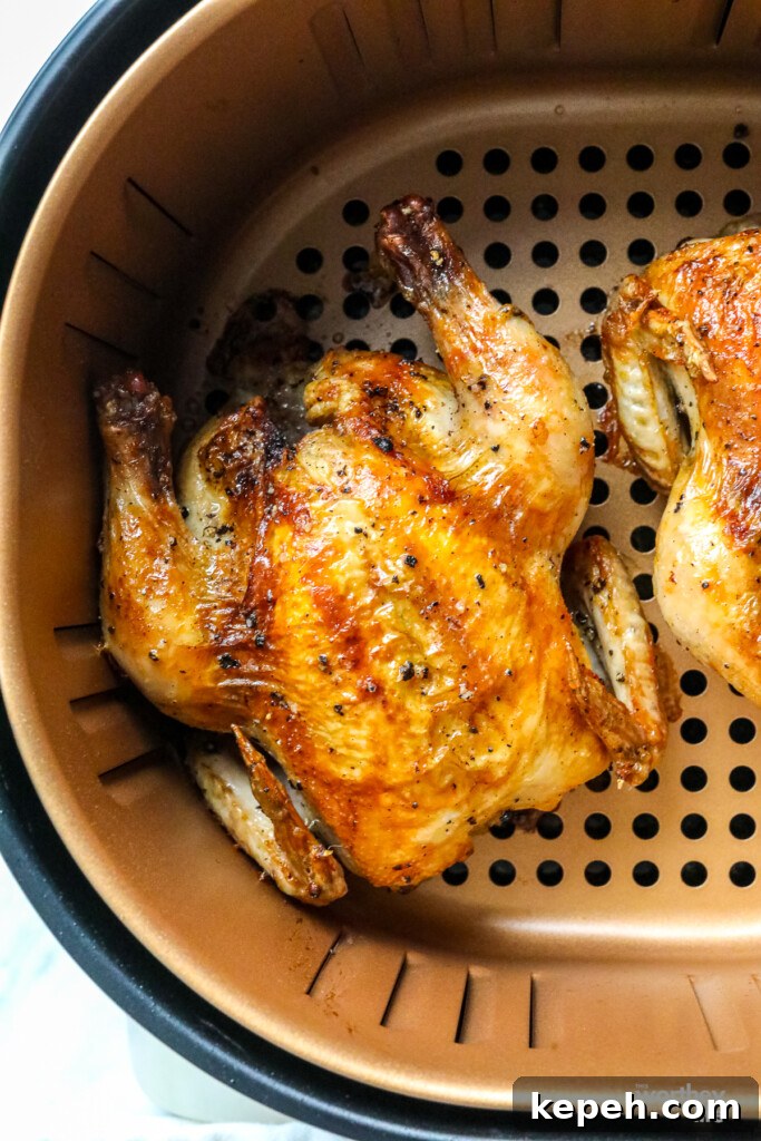 20 Air Fryer Tips and Hacks + Answers to Common FAQs 2 20 Air Fryer Tips and Hacks Plus Answers to Common FAQ's