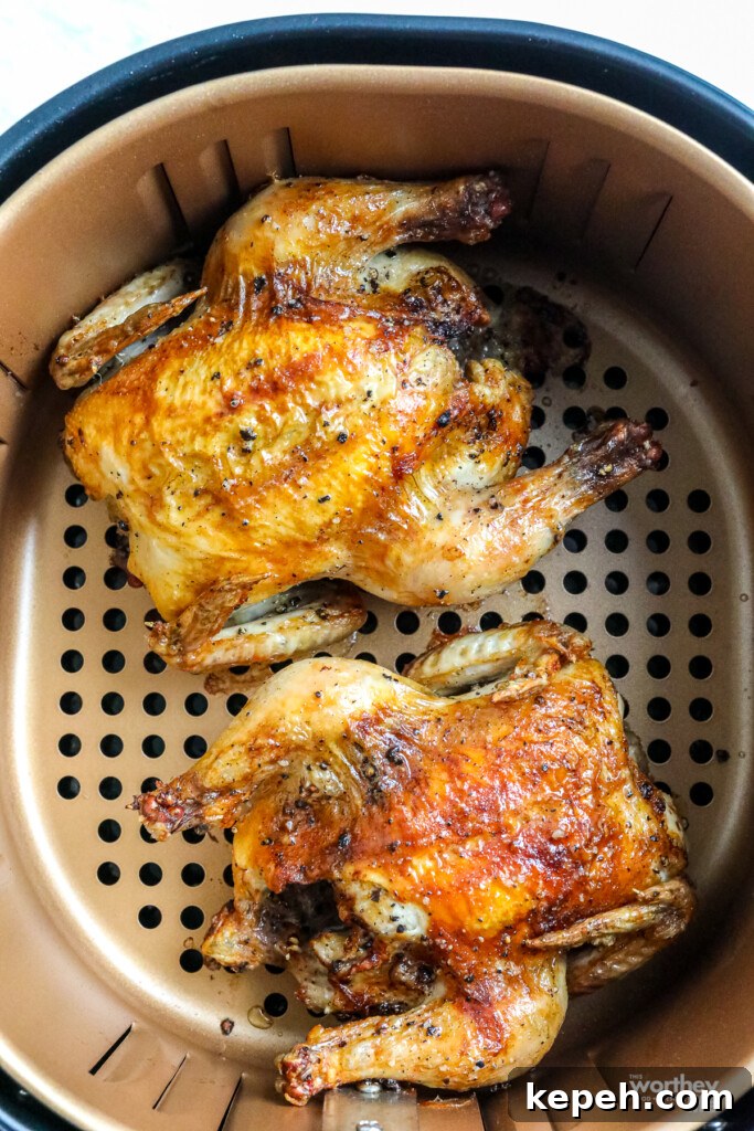 20 Air Fryer Tips and Hacks + Answers to Common FAQs 4 2 Cooked Cornish Hens in an XL Air Fryer