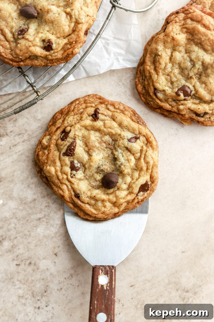 Maple chocolate chip cookies