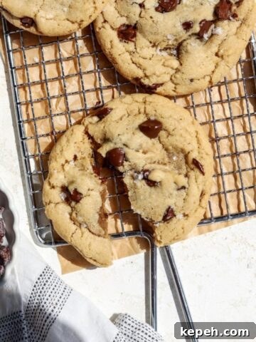 Olive oil chocolate chip cookies