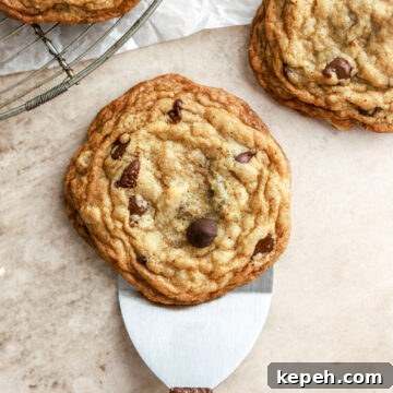 A chocolate chip cookie on a cookie spatula.