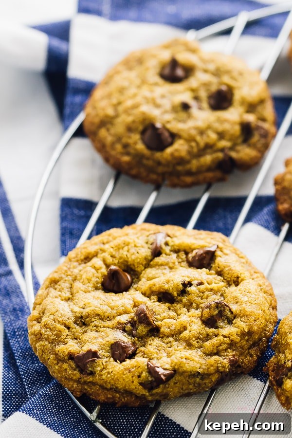 Vegan chocolate chip cookies on a wire rack. 