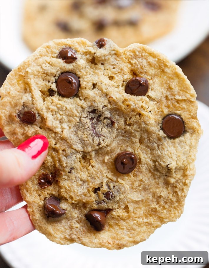 Microwave Chocolate Chip Cookies Microwave Chocolate Chip Cookies