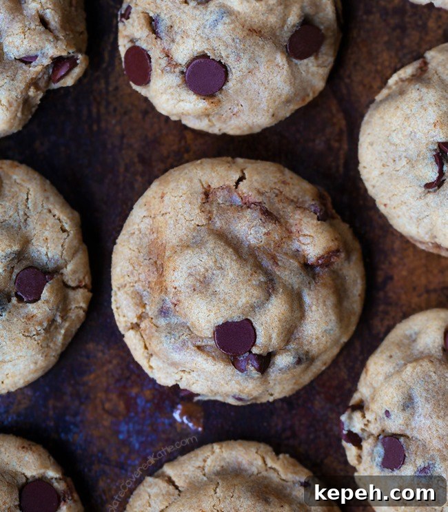 Vegan Chocolate Chip Cookies Vegan Chocolate Chip Cookies