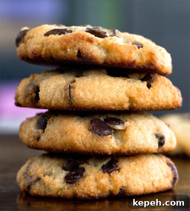 Quick Microwave Cookies: Soft, Ready in Minutes 2 Coconut Flour Chocolate Chip Cookies