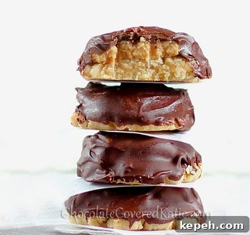 Healthy Cookies Recipes Healthy Cookies Recipes