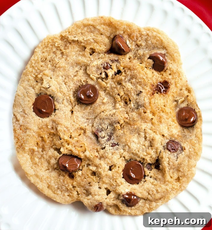 Microwave Cookie Recipe Microwave Cookie Recipe
