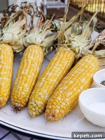 Corn on plate with salt and pepper