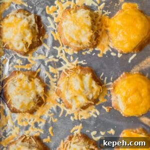 Crispy Cracker Tuna Melts: Quick Tuna Melt Bites 7 tiny tuna melts on foil