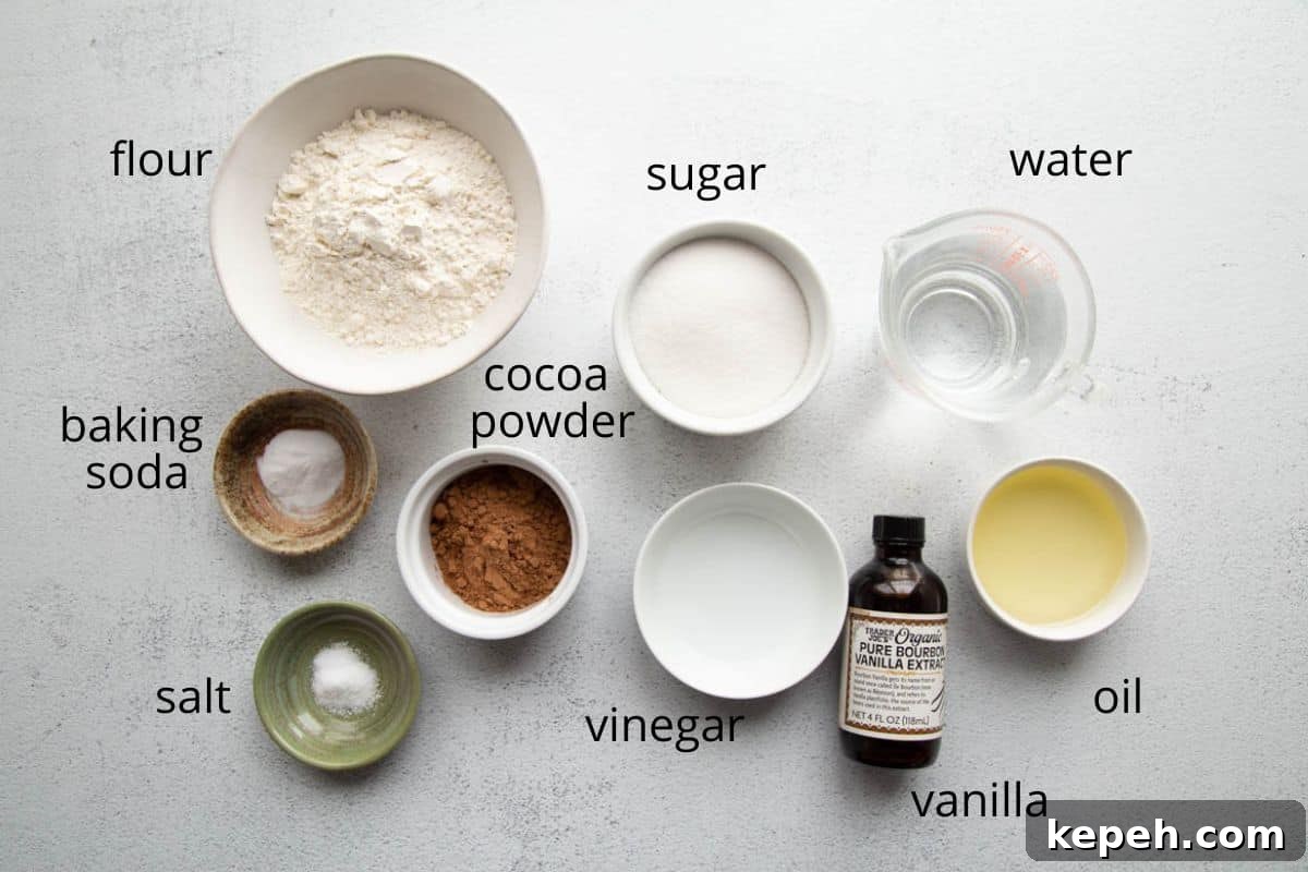 Eggless Wacky Cake Recipe: Moist Chocolate Cake Without Eggs or Milk 3 flour, cocoa powder, sugar, and other ingredients on a white table.