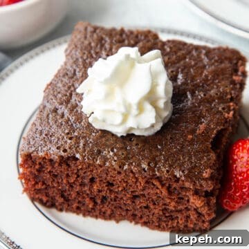 Eggless Wacky Cake Recipe: Moist Chocolate Cake Without Eggs or Milk 8 slice of chocolate wacky cake on a white plate, topped with whipped cream.