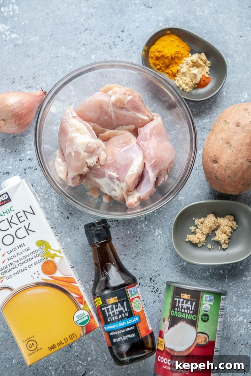Creamy Coconut Milk Slow Cooker Chicken Recipe 3 ingredients for coconut milk chicken