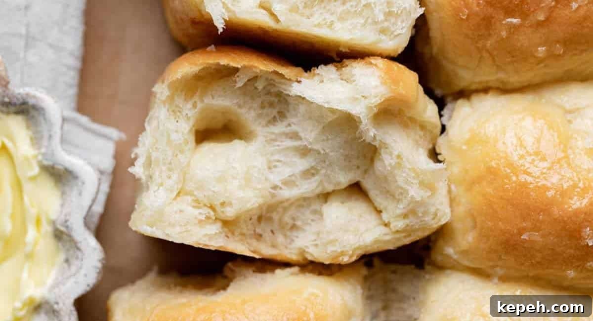Up close image of old fashioned soft and buttery yeast roll.