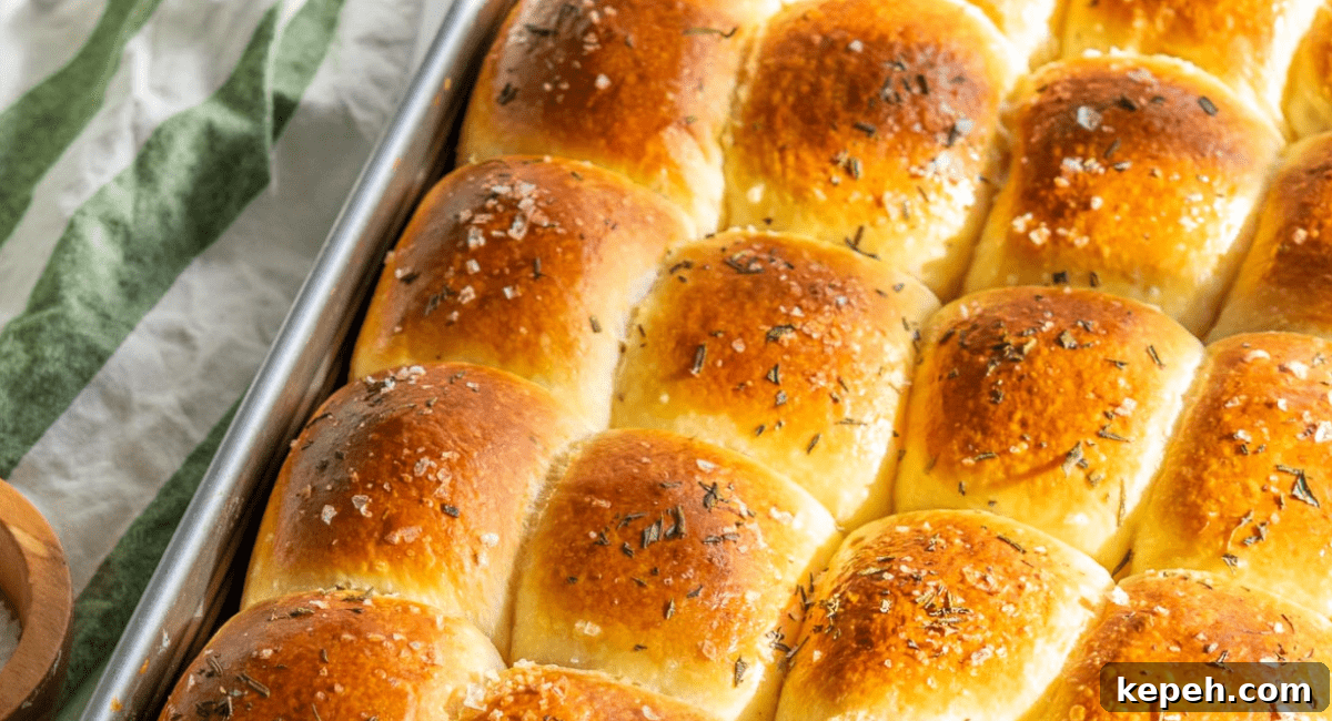 Overhead image of sourdough dinner rolls with rosemary and garnish.
