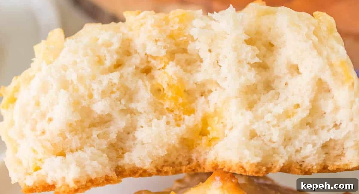 Up close image of bisquick cheddar biscuit cut in half.