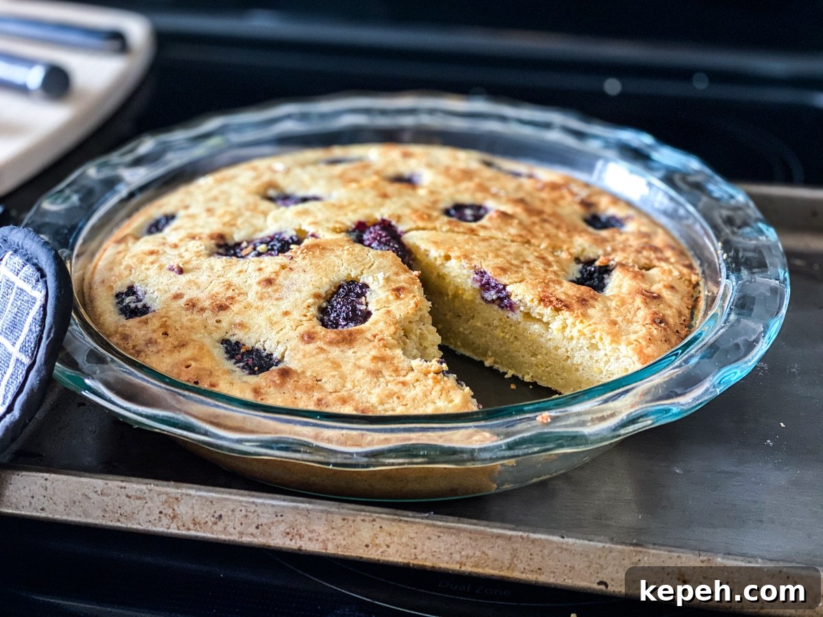 Italian Lemon Olive Oil Cake with Fresh Blackberries 12 olive oil cake with blackberries