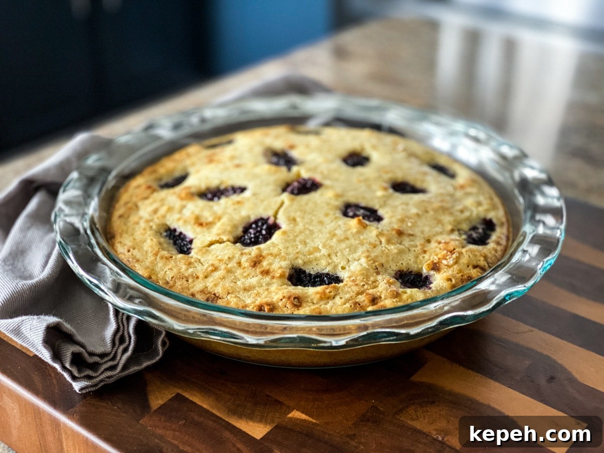 Italian Lemon Olive Oil Cake with Fresh Blackberries 13 olive oil cake with fruit