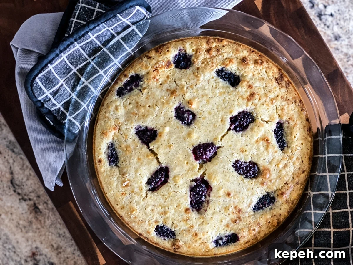 Italian Lemon Olive Oil Cake with Fresh Blackberries 3 olive oil cake