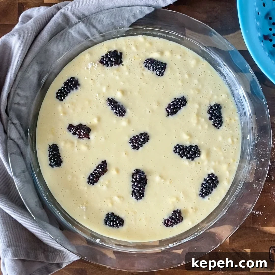 Italian Lemon Olive Oil Cake with Fresh Blackberries 7 blackberries in olive oil cake batter
