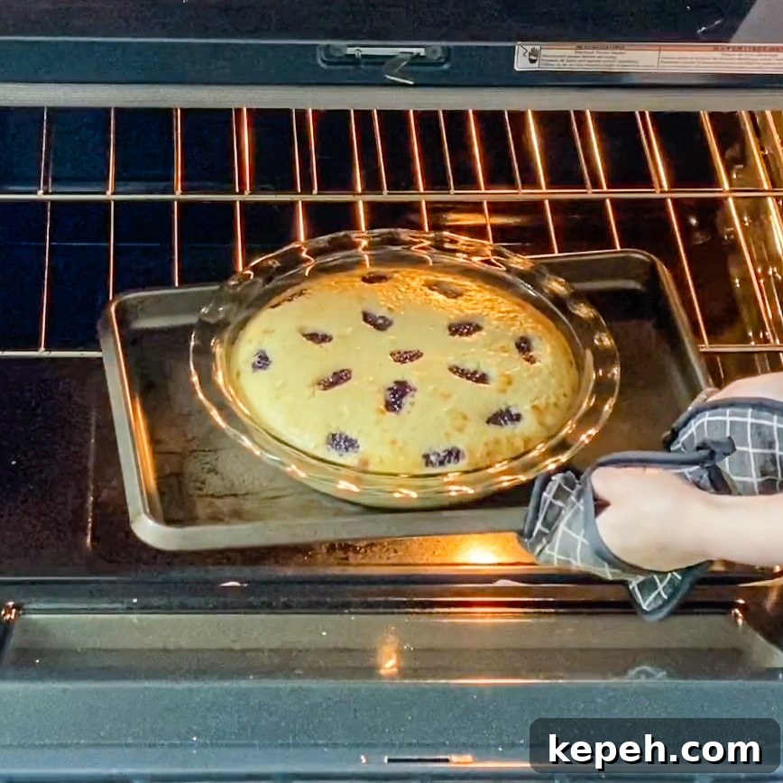 Italian Lemon Olive Oil Cake with Fresh Blackberries 8 Italian lemon olive oil cake in oven