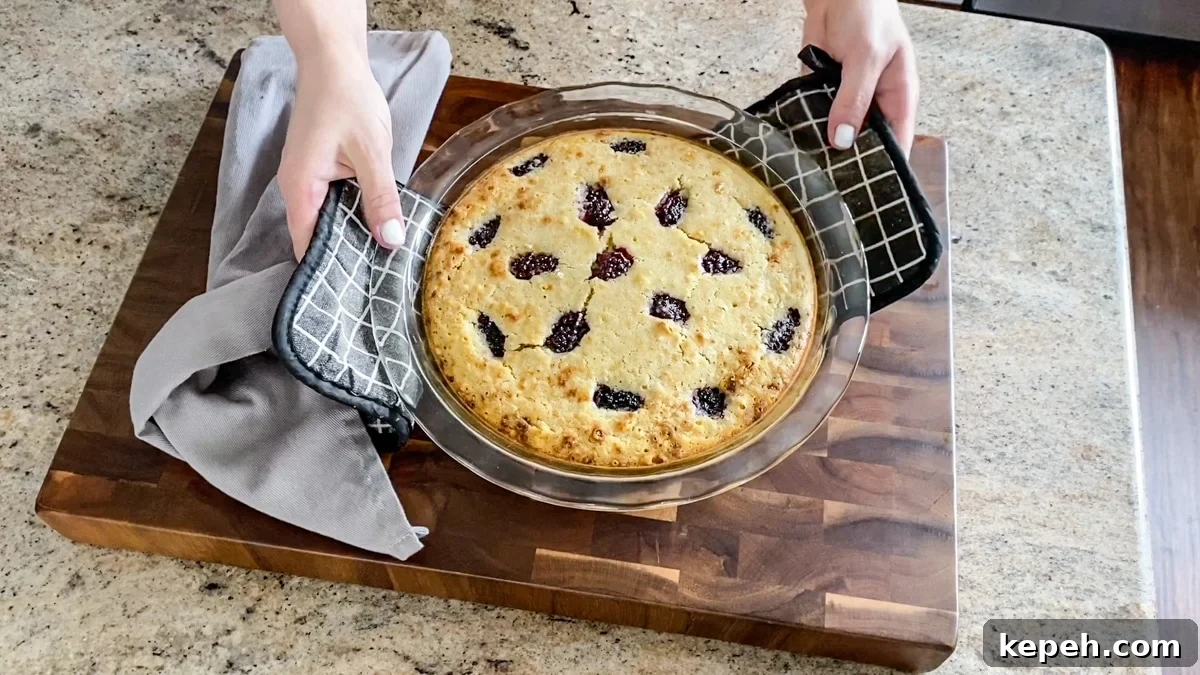 Italian Lemon Olive Oil Cake with Fresh Blackberries 9 baked olive oil cake for summer party