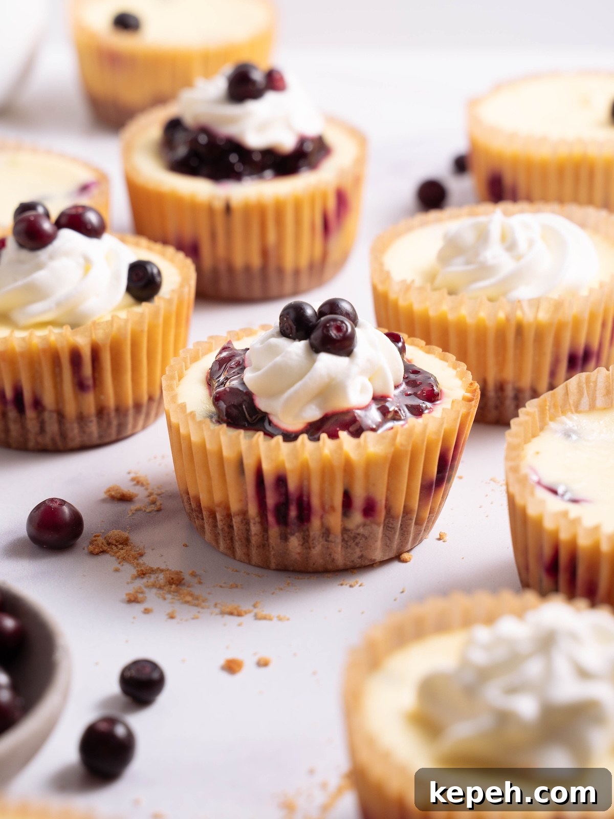 Mini Huckleberry Cheesecake Bites: Tangy Dessert Recipes 8 Mini huckleberry cheesecakes topped with huckleberry compote and whipped cream