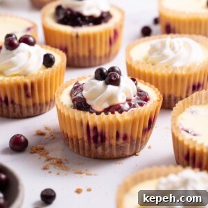 Mini Huckleberry Cheesecake Bites: Tangy Dessert Recipes 10 Mini huckleberry cheesecakes topped with huckleberry compote and whipped cream
