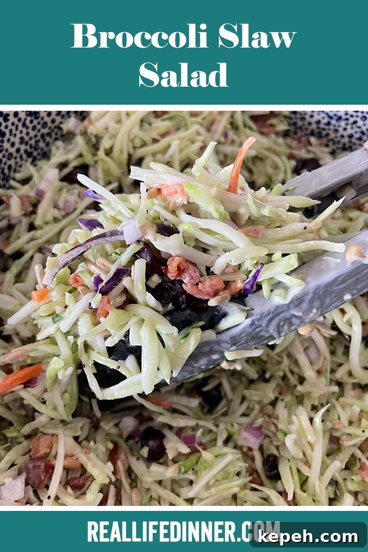 Crunchy Broccoli Slaw with Creamy Dijon Dressing 9 Pinterest picture of tongs grabbing broccoli slaw salad in a bowl of broccoli slaw salad. The text of the title of the recipe is at the top.