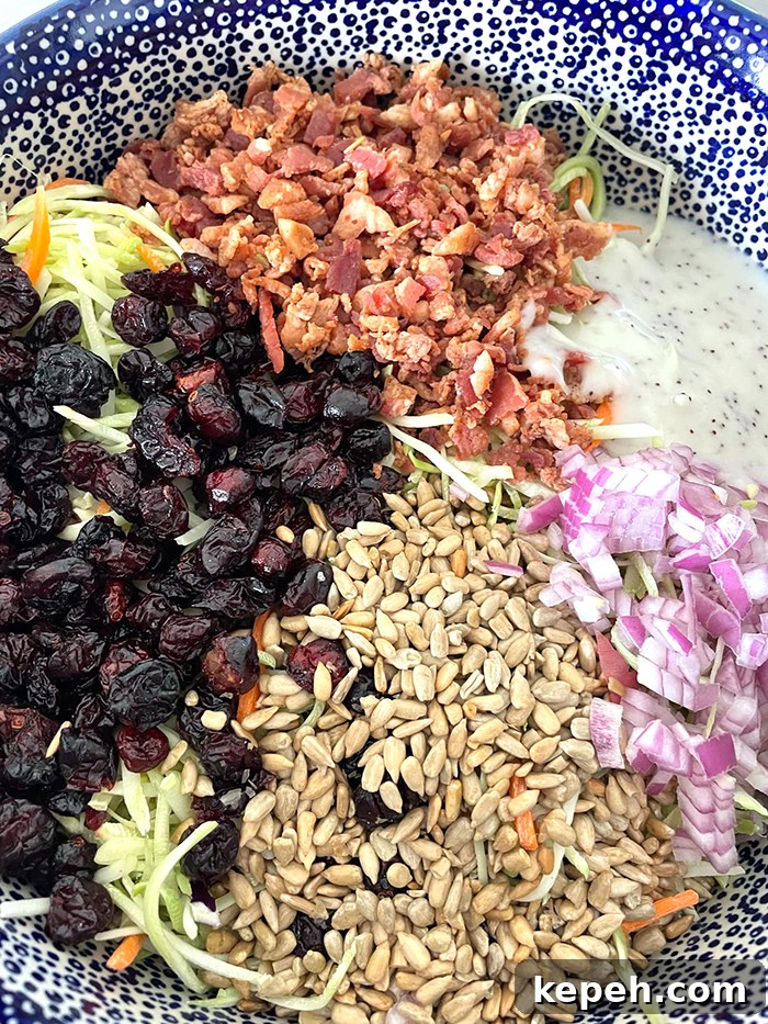 A dark blue and white bubble patterned large Polish Pottery bowl with broccoli slaw on the bottom and bacon crumbles, poppy seed salad dressing, diced red onion, sunflower seeds, and Craisins on top.
