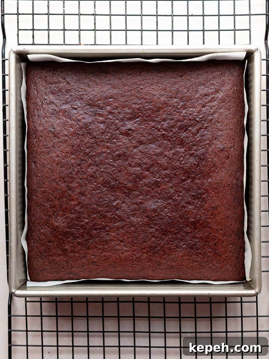 Gluten-Free Chocolate Snack Cake Recipe for Quick Treats 13 img 22717 12