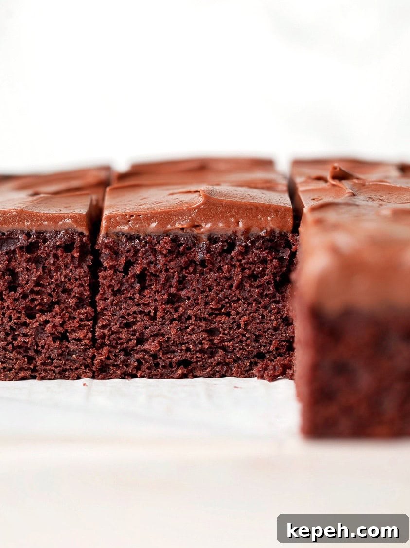 Gluten-Free Chocolate Snack Cake Recipe for Quick Treats 14 gluten free chocolate snack cake topped with chocolate frosting