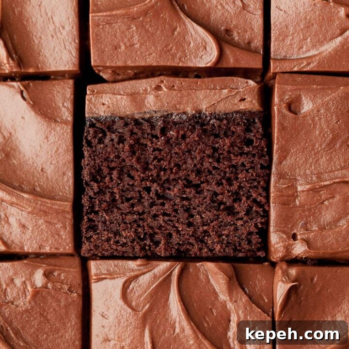 gluten free chocolate snack cake topped with chocolate frosting, one piece laid on the side showing the moist and tender crumb