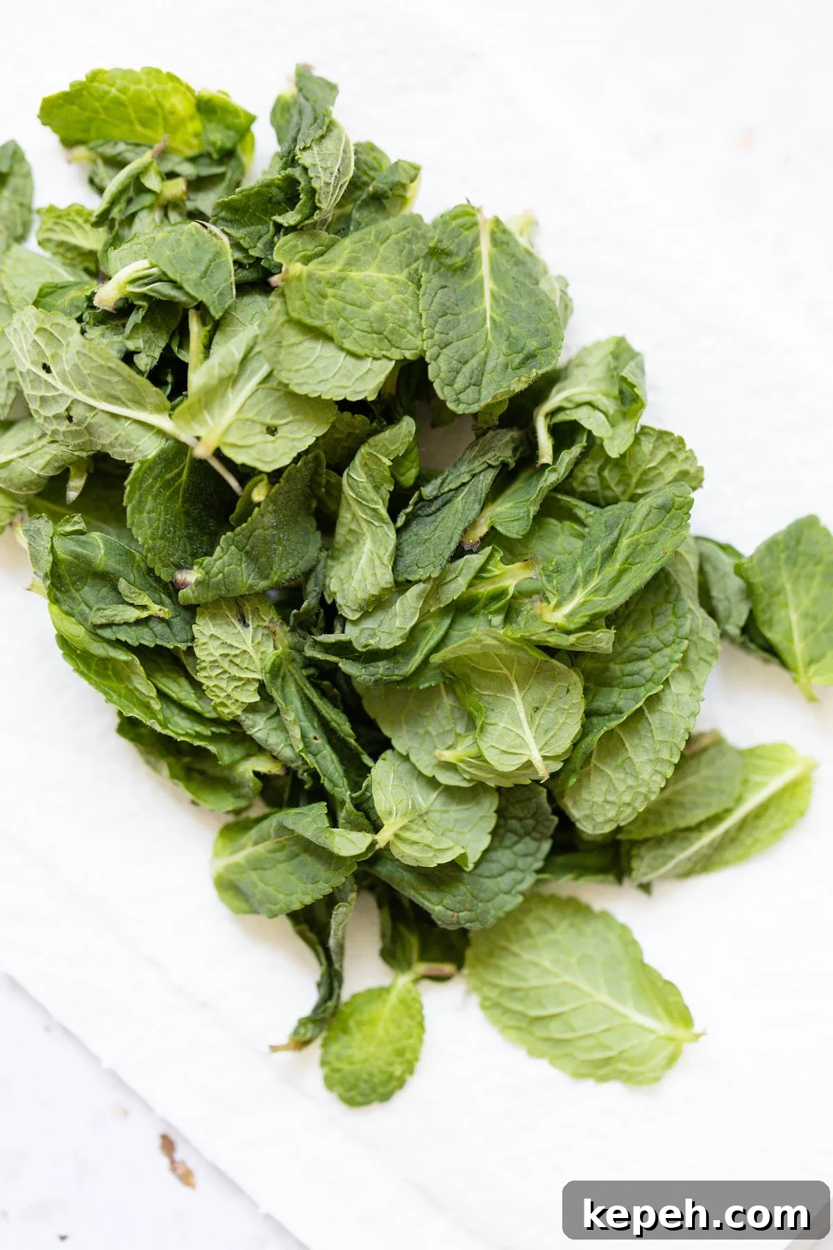 Creamy Mint Yogurt Sauce Recipe for Grilled Meats and Dips 3 Mint leaves
