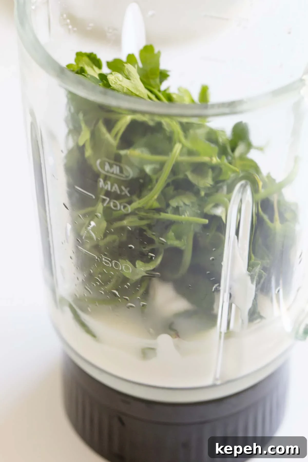Creamy Mint Yogurt Sauce Recipe for Grilled Meats and Dips 4 Ingredients in the blender