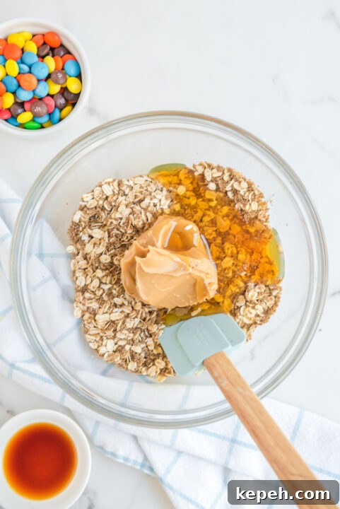 No-Bake M&M Energy Bites: Chocolate Peanut Butter Snack Balls 10 img 22967 10