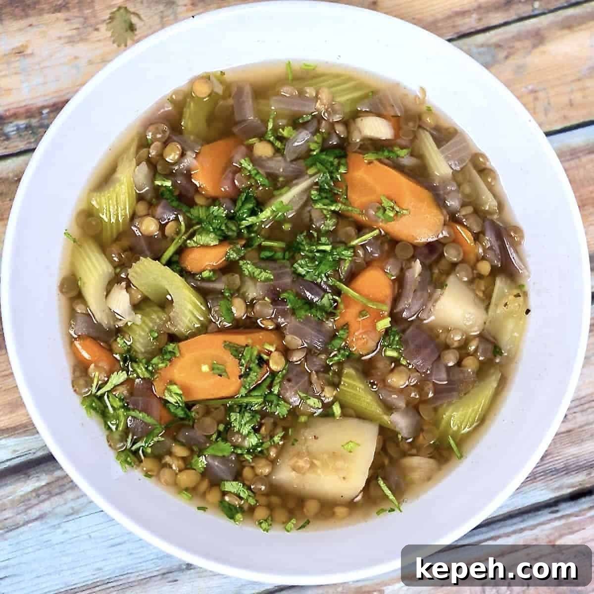 Instant Pot Lentil and Vegetable Soup Recipe — Hearty One-Pot Meal 2 instant pot lentil soup in bowl