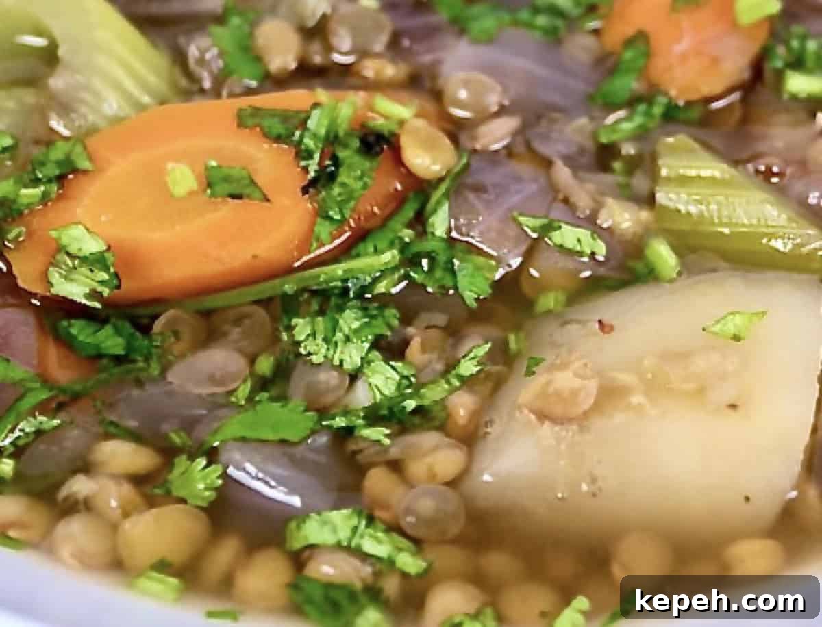 Instant Pot Lentil and Vegetable Soup Recipe — Hearty One-Pot Meal 4 lentil soup close up of colorful tender carrots celery onions and potatoes in lentil soup made in the instant pot