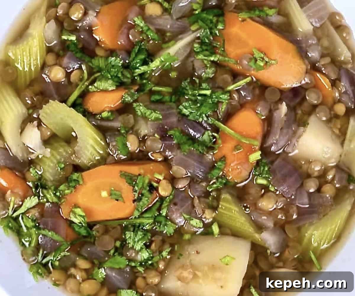 Instant Pot Lentil and Vegetable Soup Recipe — Hearty One-Pot Meal 5 lentil soup with vegetables made in the instant pot. Finished and ready to eat.
