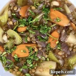 Instant Pot Lentil and Vegetable Soup Recipe — Hearty One-Pot Meal 6 flatly image of instant pot lentil soup
