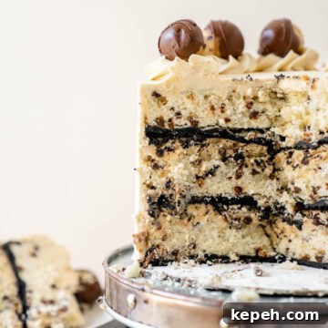 Cookie Dough Cake finished