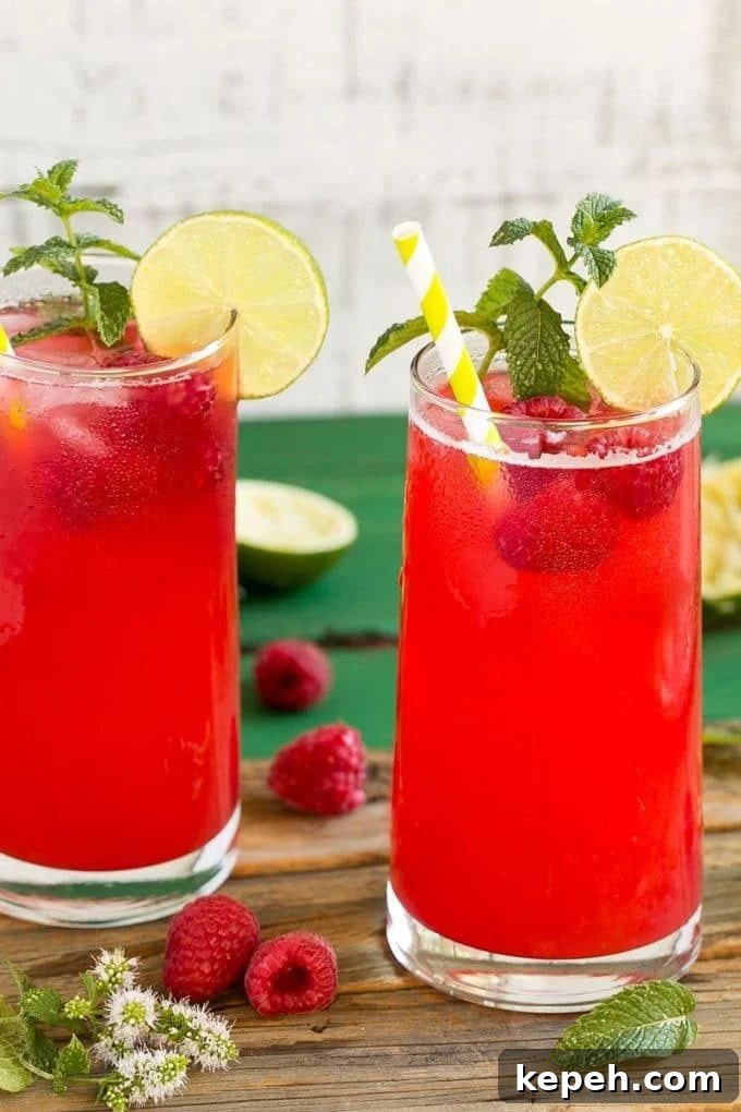 27 Refreshing Summer Punch Recipes to Keep Your Party Cool 26 sparkling raspberry limeade