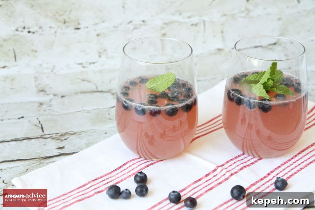 27 Refreshing Summer Punch Recipes to Keep Your Party Cool 28 blueberry sangria lemonade