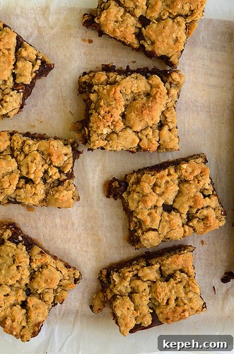 Chocolate Peanut Butter Revel Bars